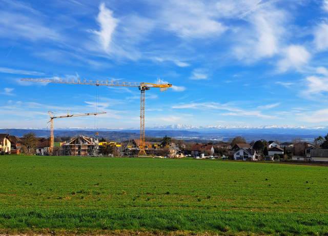 Des grues au milieu d'un magnifique décor de montagnee