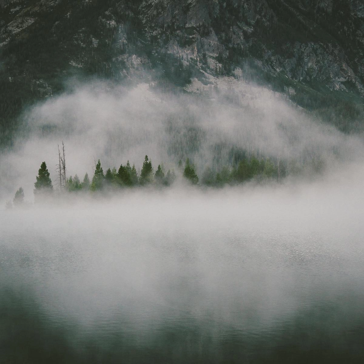 1200x1200 6 1200x1200 6